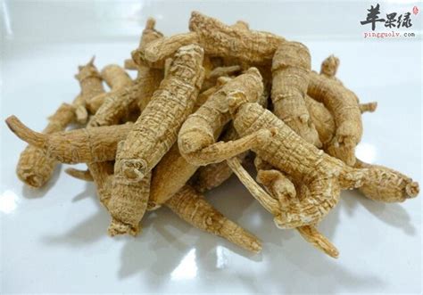 孕妇能吃西洋参吗