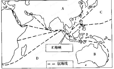 海椰子哪里有的啊????