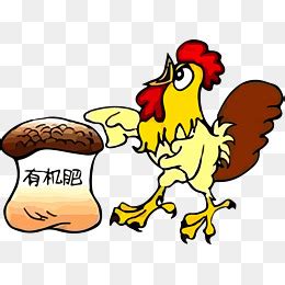 姐弟大战肥公鸡-记叙文900字(经典5篇)