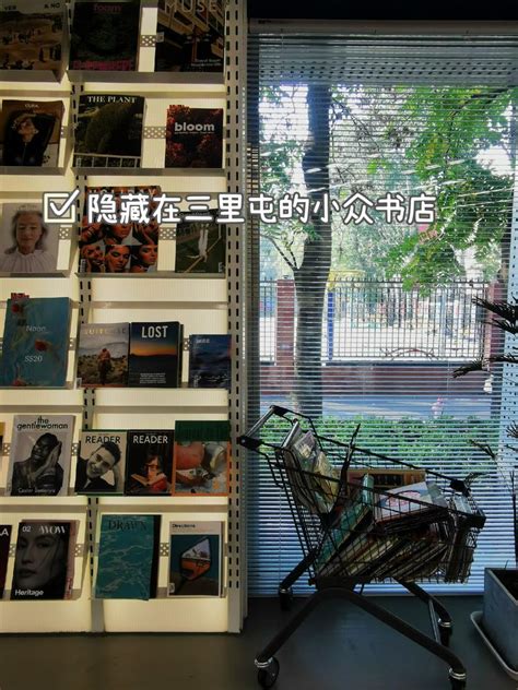 奇妙的书店之旅-想象作文550字（推荐8篇）