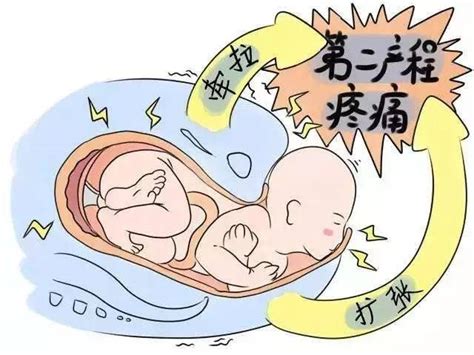 胎动鼓包说明胎儿多少周了
