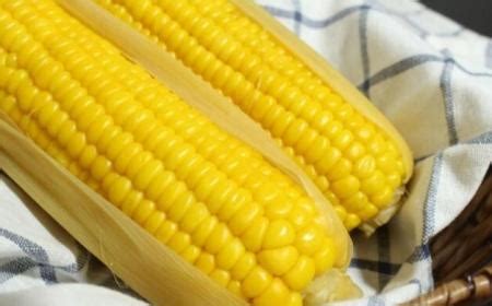孕妇能吃玉米吗