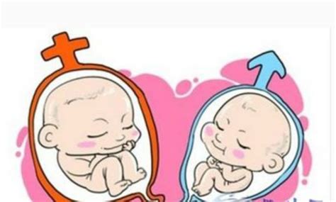 胎儿胎教有哪些