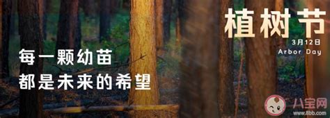 植树的句子经典