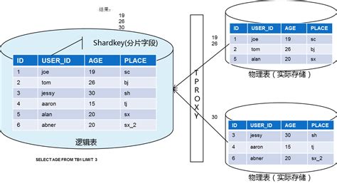 dnf的文件是什么格式