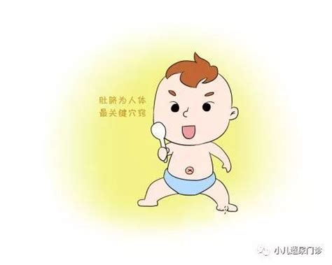 脱落的新生儿脐带用途