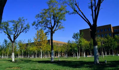 2020哪些大学专业前景好