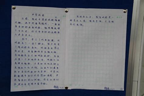 我的老家-三年级写景作文250字[摘抄5篇]