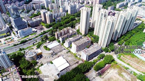 深圳金威啤酒有限公司的介紹