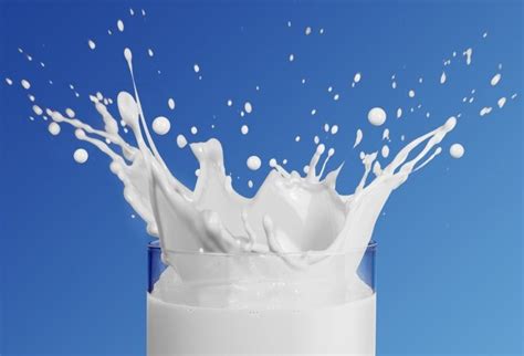 牛奶喝多了伤肾吗