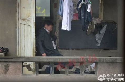 不要以爱的名义伤害孩子作文