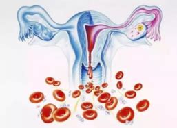 子宫内膜厚是什么情况?