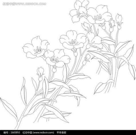 花瓣-写物作文300字（汇总4篇）