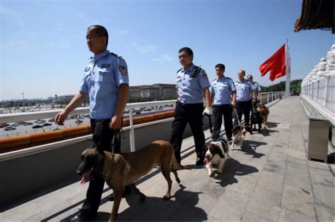参观警犬基地有感(优秀5则)