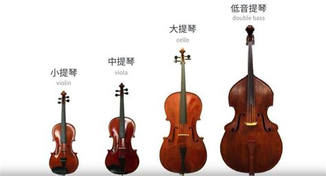 小提琴撥弦技巧