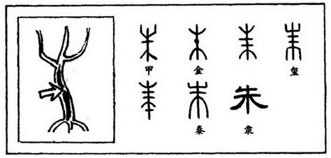 木字旁15笔画的汉字