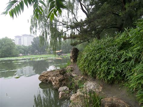 北京紫竹院公园视频