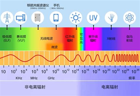 对人体健康有影响的社会文化因素包括
