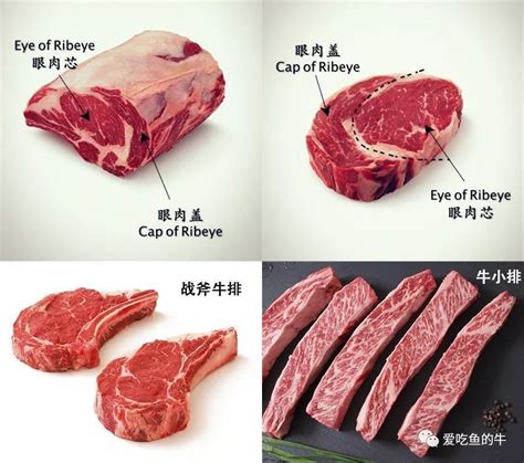 牛里脊肉是哪个部位