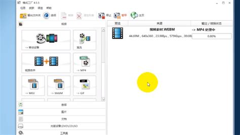 为什么我的MPG文件播放没有图像