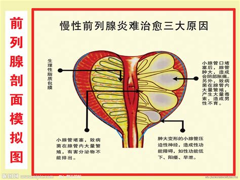 看男性生殖系统炎症挂什么科