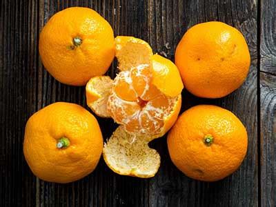 孕妇可以吃橘子吗早期