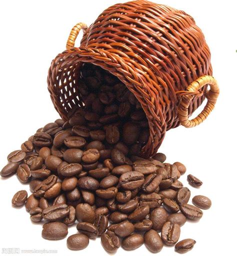 10克咖啡豆是多少