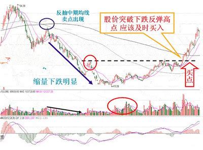 波司登回应先涨后跌仅便宜0.28元