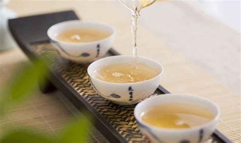 喝白茶对身体有什么好处和坏处?