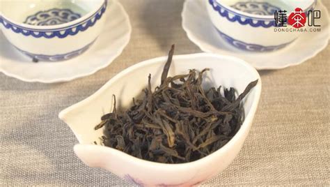 鳳凰單叢茶和鳳凰單樅茶的讀音,兩種茶是一樣的嗎?