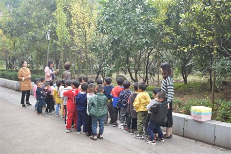 幼儿牙齿松动了要拔掉吗