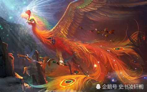凤凰是神话传说中的百鸟之王雌鸟是指什么