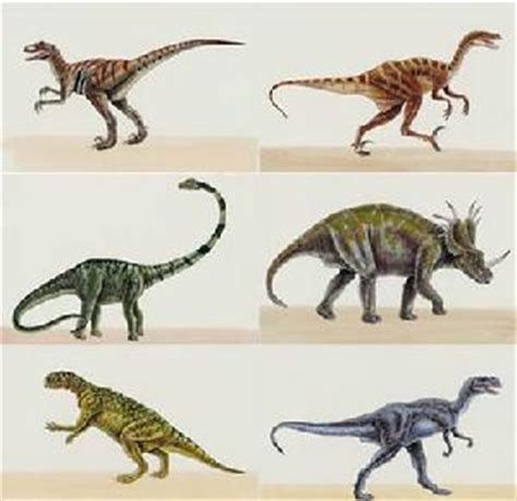 恐龙的种类及介绍幼儿