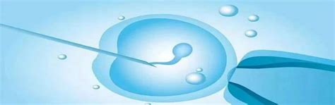 试管婴儿植入多个胚胎有风险吗