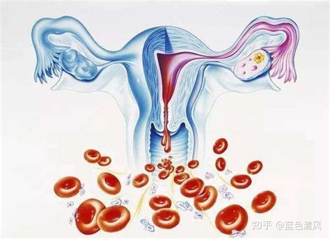 卵巢发育不良能怀孕吗