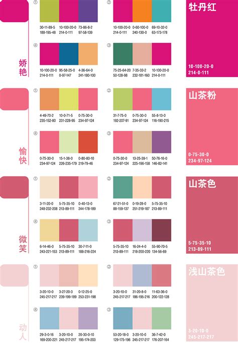 彩超里面的红蓝色是什么