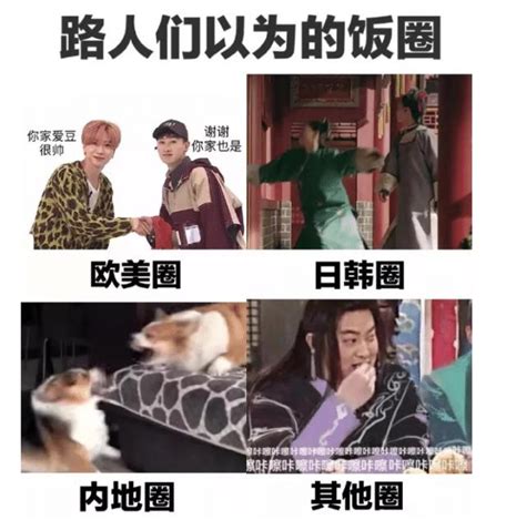 饭圈漏勺是什么梗