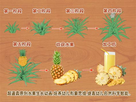 让宝宝爱上水果的5个方法