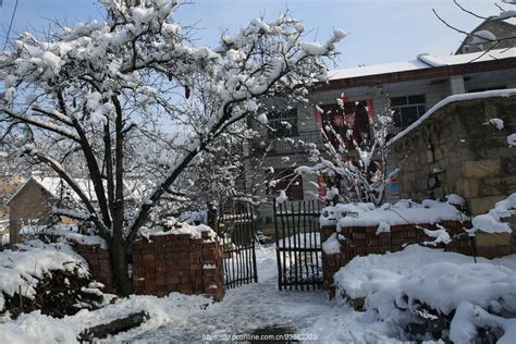 第一场雪作文200字[通用8篇]