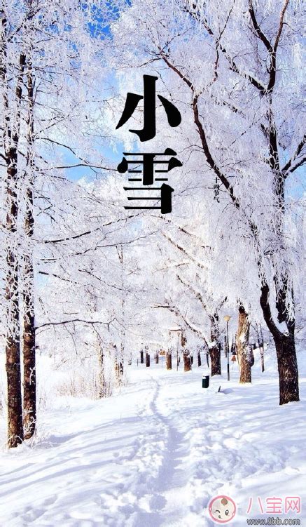 聪明的小雪_关于班长的作文300字[集锦7则]