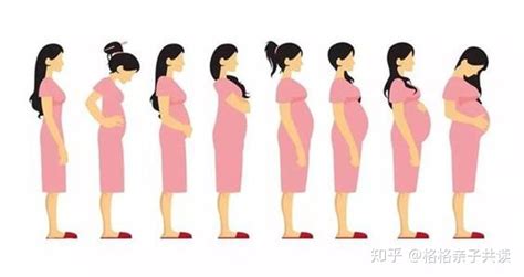 五个月孕妇图片