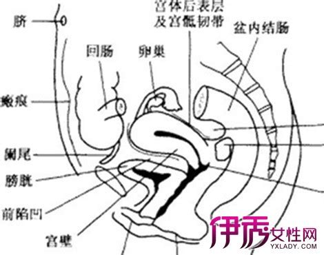 刚上环移位有什么症状