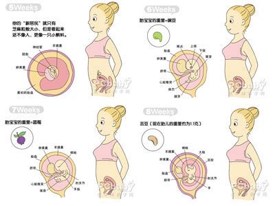 婴儿1-12个月注意事项
