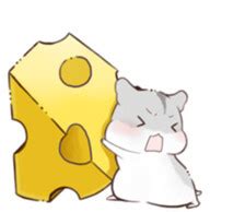 可爱的小仓鼠-状物作文600字（推荐7篇）