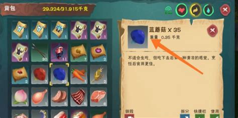 创造与魔法蓝蜥蜴饲料怎么做?