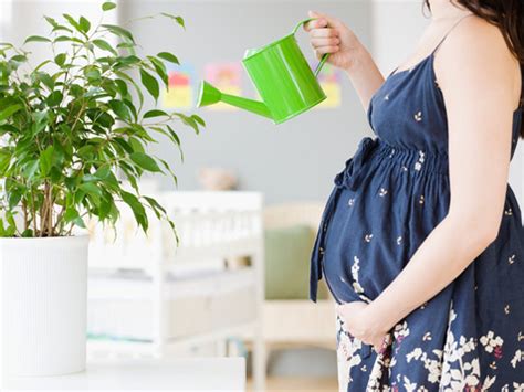 孕晚期多散步有利于分娩吗