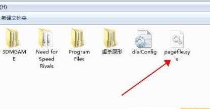 dir是什么文件类型?谁知道?