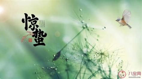 2019今日芒种说说朋友圈