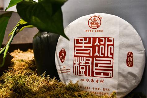 云南普洱市的普洱茶那家好