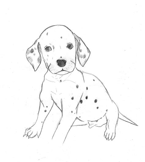 调皮的小狗-描写动物的作文450字[集锦6则]